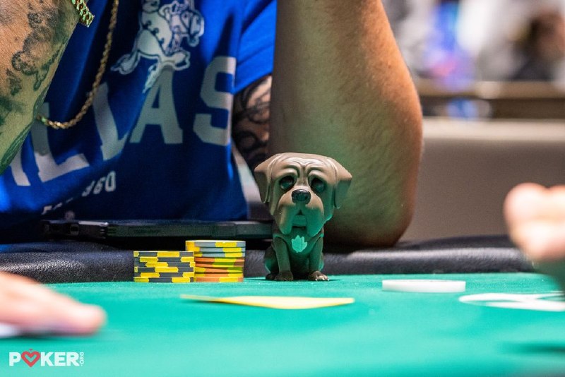WSOP 战绩不佳？练习这 5 项技能为明年做准备如果你在最近的 WSOP 中表现不佳，不要气馁